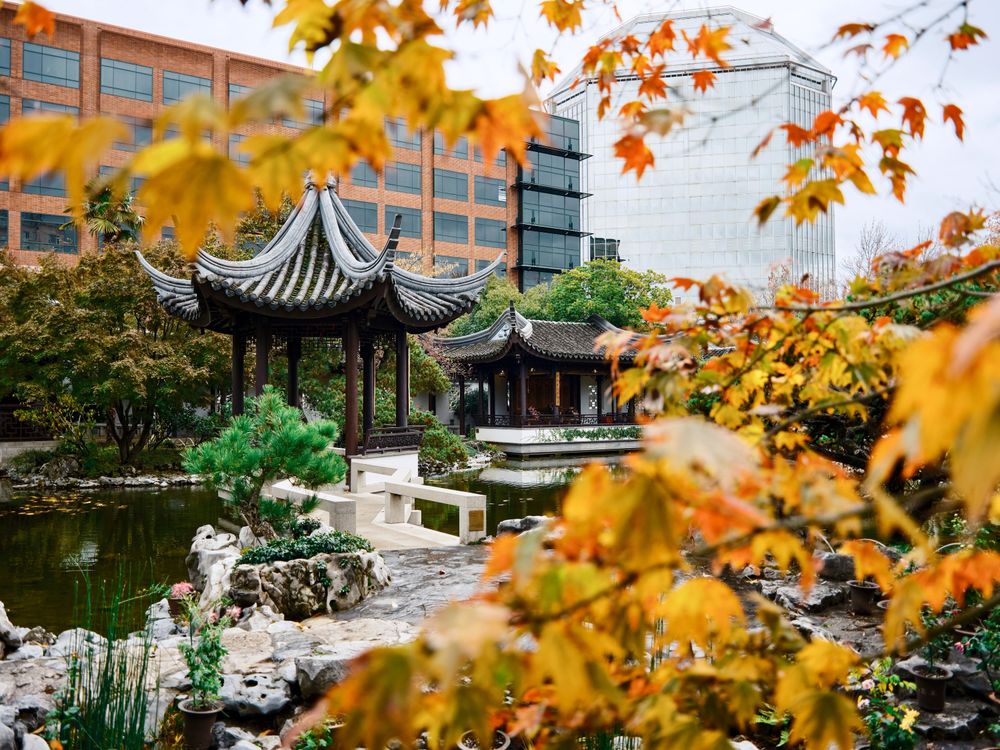 Lan Su Chinese Garden